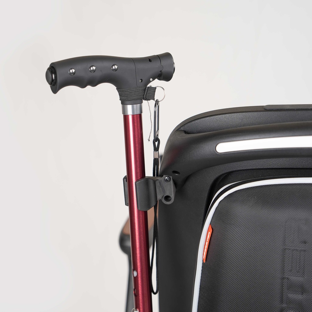 sana.swiss Robooter E60 Pro Gehstock Halter 