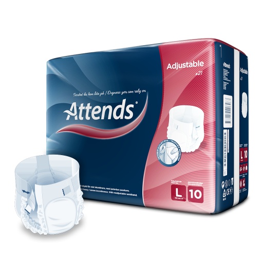 [430078N] Attends Adjustable 10, L, 21 pces