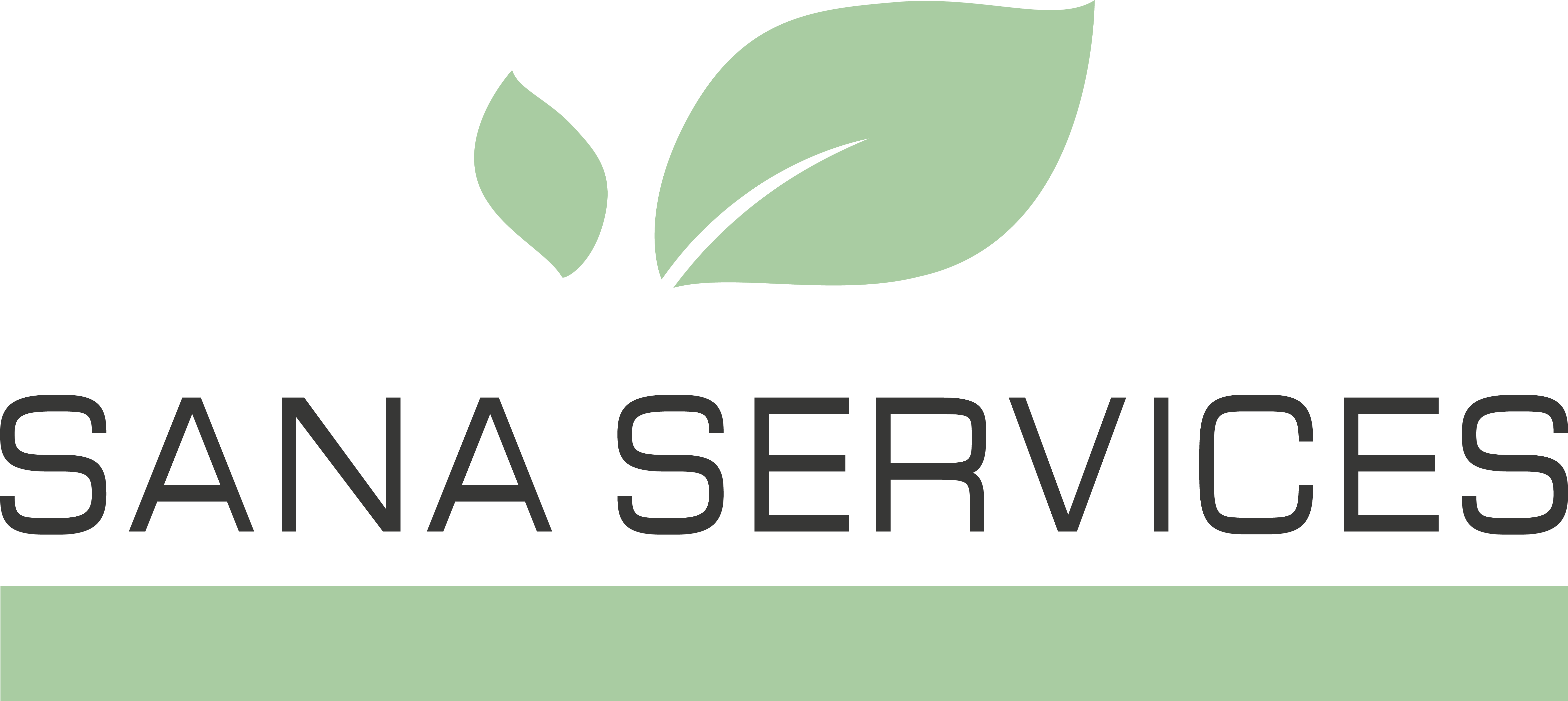 sanaservices lab